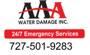 Logo AAA Water Damage